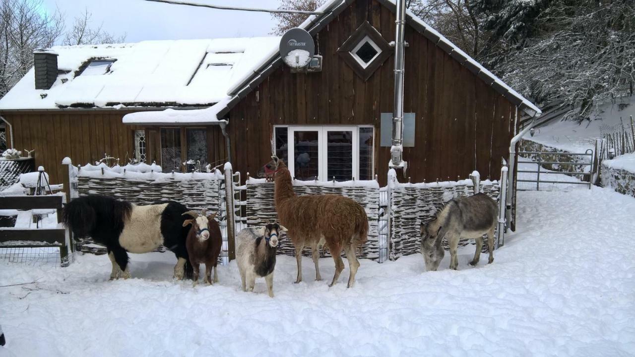 Funny-Farm Villa Sassen Екстериор снимка