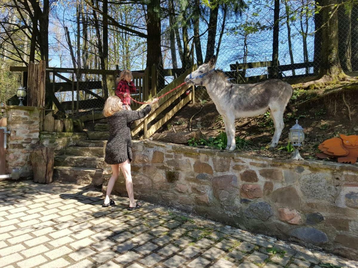 Funny-Farm Villa Sassen Екстериор снимка