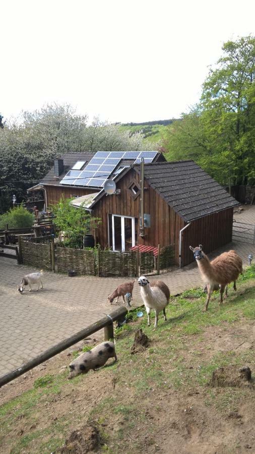 Funny-Farm Villa Sassen Екстериор снимка